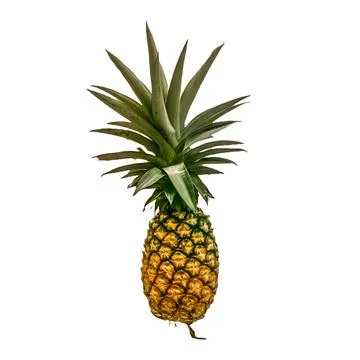 Fresh pineapple Stock Photos