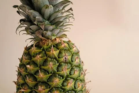 Fresh pineapple on a plain background Stock Photos