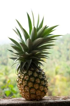 Fresh pineapple on table Stock Photos