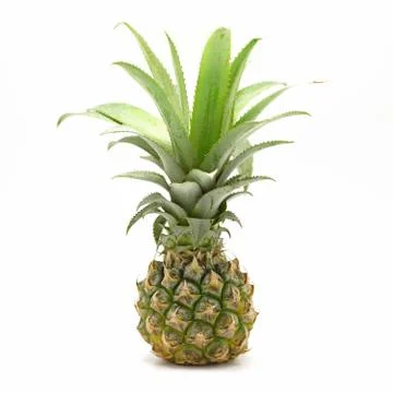 Fresh pineapple on white background Stock Photos