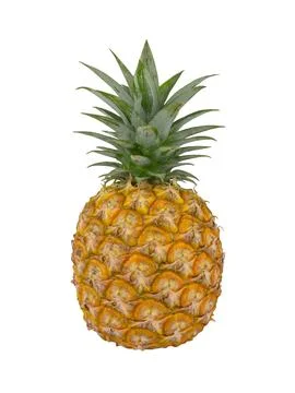 Fresh pineapple on a white background. pineapple with clipping path. Stock-Fotos
