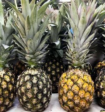 Fresh pineapples on display Stock Photos