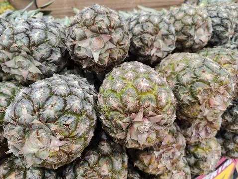 Fresh Pineapples on Display Stock Photos