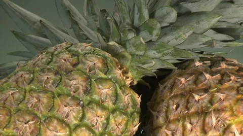 FRESH PINEAPPLES Vidéo 59008897