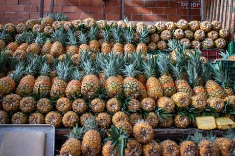 Fresh pineapples stacked in bulk at Alcalde Market market in Guadalajara Fotos de archivo