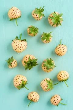 Fresh pineberries on turquoise Stock Photos