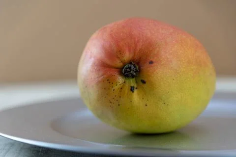 Fresh pink mango fruit. Stock Photos