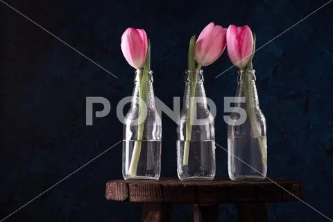 Fresh pink tulip flowers in three bottle in front of wall. View with copy spa Stock Photos