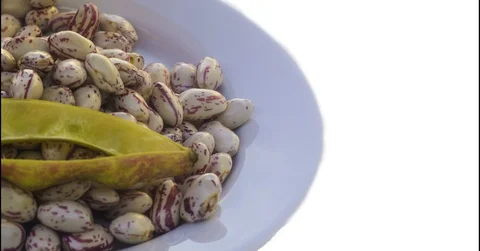 Fresh pinto beans collected in a dish. Legumes for healthy eating. Copy space Stock-Footage 97882380