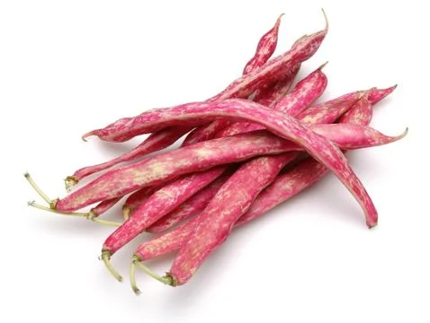 Fresh pinto beans Stock Photos