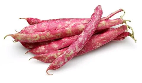 Fresh pinto beans Stock Photos