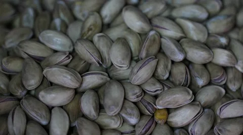 Fresh pistachio nuts Vídeos de archivo 55995040