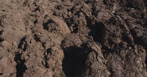 Fresh plough field Stock Footage 144417909