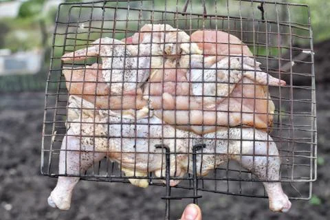 Fresh plucked chicken on barbeque grill cooking Stock Photos