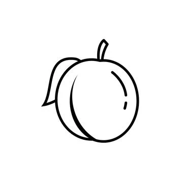 Fresh plum fruit vector icon outline. EPS 10. Plums fruits illustration. Vege Stock Illustration