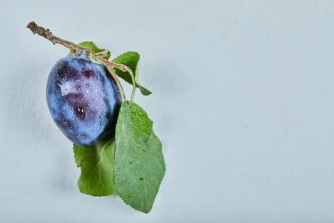 Fresh plum with leaf isolated on a blue background Stock Photos