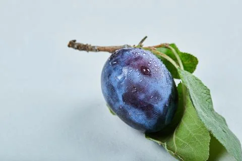 Fresh plum with leaf isolated on a blue background Stock Photos
