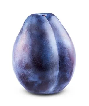 Fresh plum Stock Photos