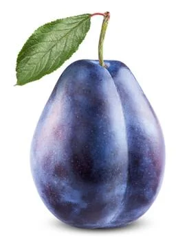 Fresh plum Stock Photos