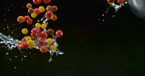 Fresh plump cherry tomatoes fall with water droplets on black background closeup Video stock 199458111
