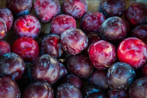 Fresh Plums Background, Top View . Stock Photos