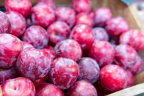 Fresh Plums Close Up Stock Photos