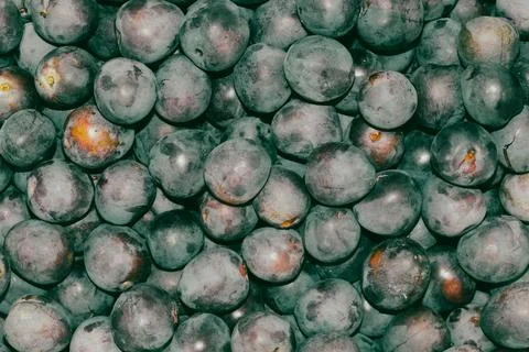 Fresh plums full frame pattern dark background Stock Photos