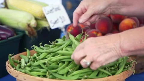 Fresh Plums Market Stall Assorted Fruit Healthy Eating Stock-Footage 310479705