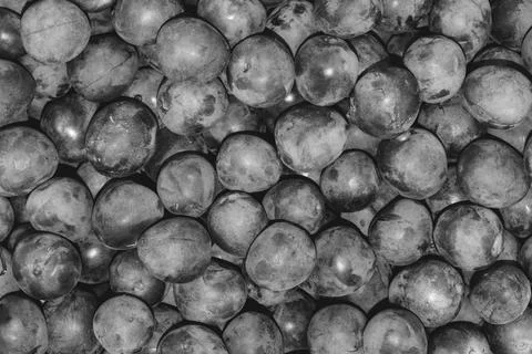 Fresh plums pattern black and white Stock Photos