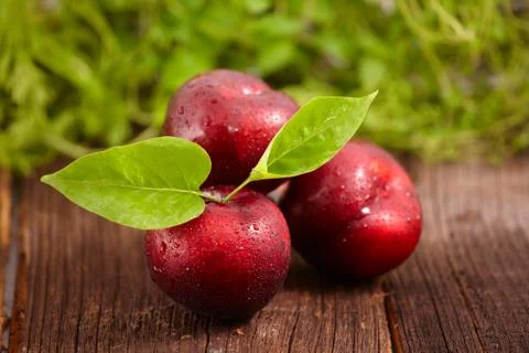 Fresh plums Stock Photos