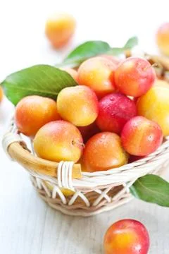 Fresh plums Stock Photos