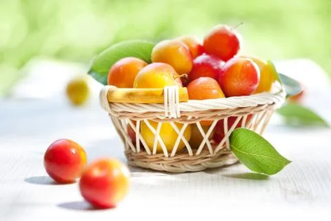Fresh plums Foto stock