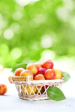 Fresh plums Stock Photos