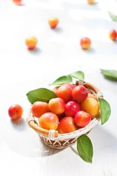 Fresh plums Stock Photos