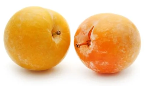 Fresh plums Stock Photos