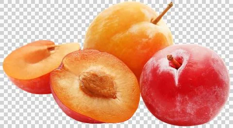 Fresh plums Stock Photos