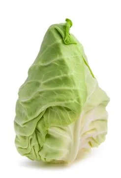 Fresh pointed cabbage Stock Photos
