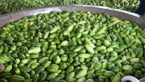 Fresh pointed gourds Stock Footage 344310588