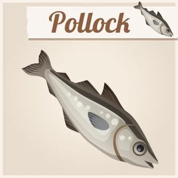 Fresh pollock fish. Detailed Vector Icon Stock Illustration
