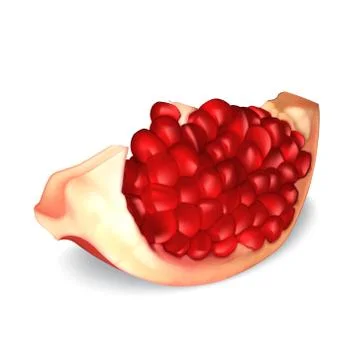 Fresh pomegranate Illustrazione stock