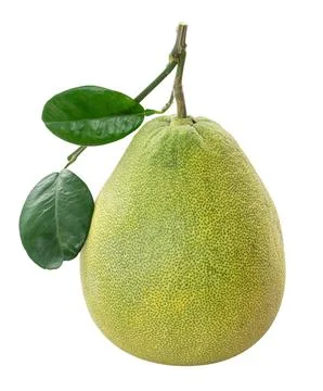 Fresh pomelo isolated on white table background. Stock Photos