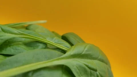 Fresh portion of spinach leaves on a yellow background. Stock Footage 291175561