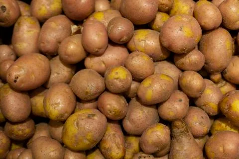 Fresh potato background texture Stock Photos