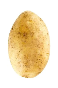 Fresh potato Stock Photos