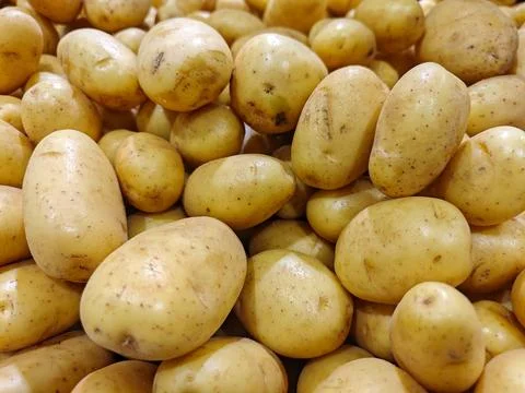 Fresh Potatoes in Assembly Stock Photos