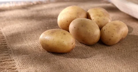 Fresh potatoes on burlap. vegetables on the table. farm products. Stock Footage 242491701