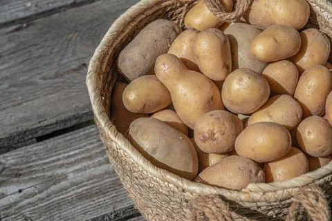 Fresh Potatoes with Copy Space Stock Photos