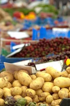 Fresh potatoes Stock Photos