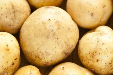 Fresh potatoes Stock Photos