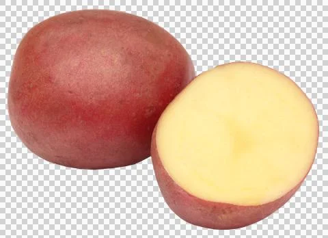 Fresh Potatoes Stock Photos